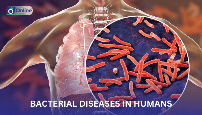 Lesson 10: Bacterial Diseases in Humans